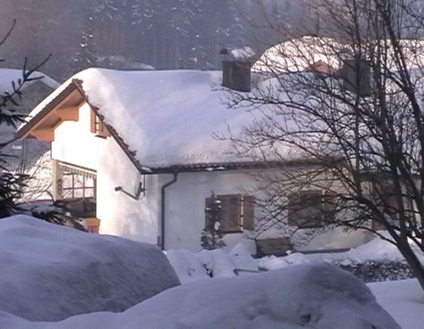 Elefanten